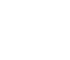 icon 06 permit